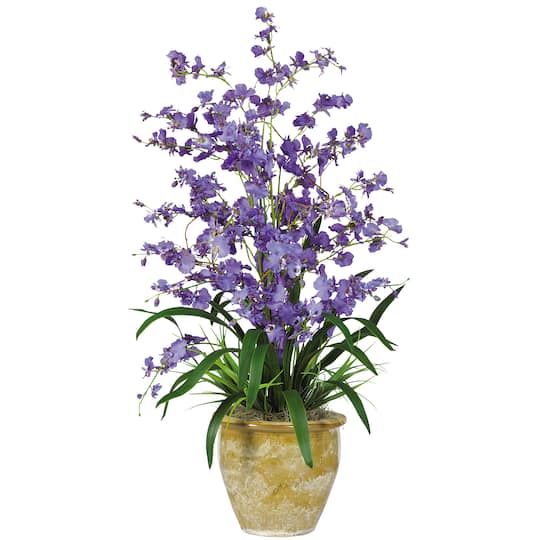 2.5ft. Purple Triple Dancing Lady Orchid Arrangement in Planter